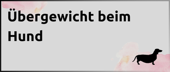 Kachel Übergewicht beim Hund mit dickem Dackel Kachel Übergewicht beim Hund mit dickem Dackel