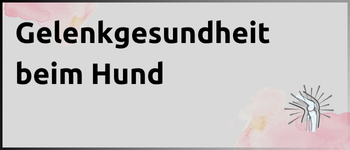 Kachel Gelenkgesundheit beim Hund