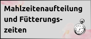 Kachel Mahlzeitenaufteilung und Fütterungszeiten