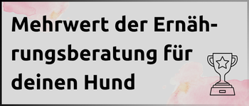 Kachel Mehrwert der Ernährungsberatung für deinen Hund Kachel Mehrwert der Ernährungsberatung für deinen Hund